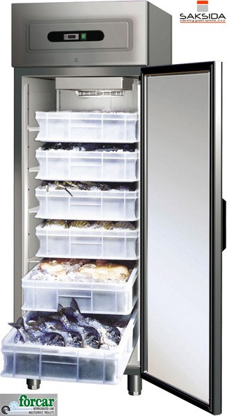 Zamrzovalne omare za ribe in ostale morske sadeže volumna 507 litrov Forcar Saksida