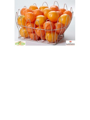 Košara za pomaranče za M/SB Citrocasa Saksida